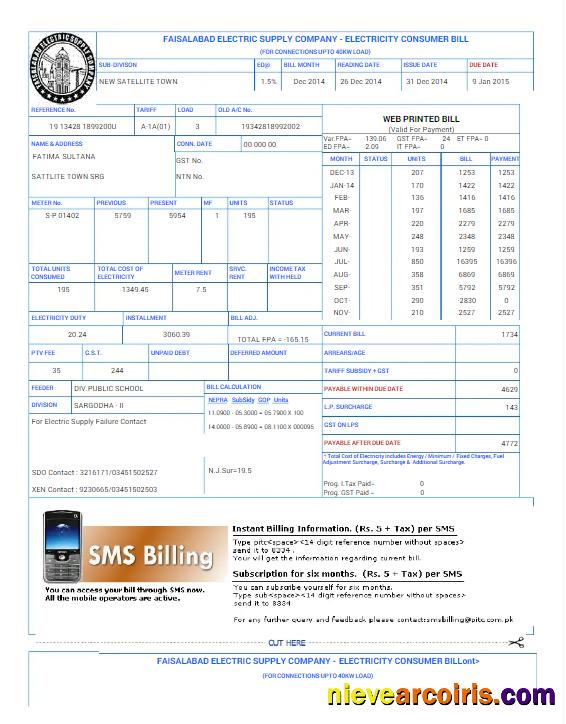 PAKISTAN FAISALABAD utility bill